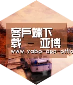 亚搏网app中德合璧 实力可鉴