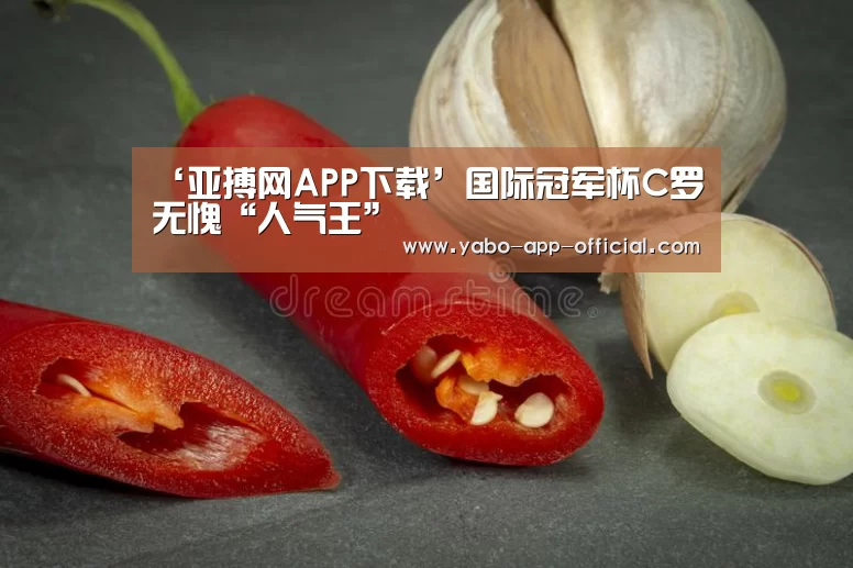 亚搏网APP下载