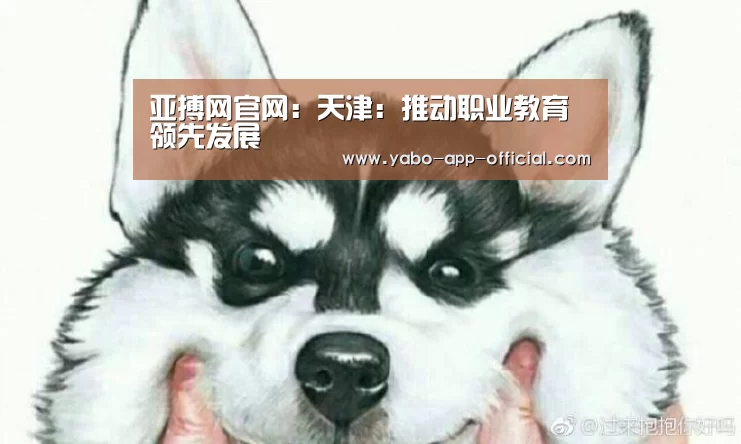 亚搏网APP下载
