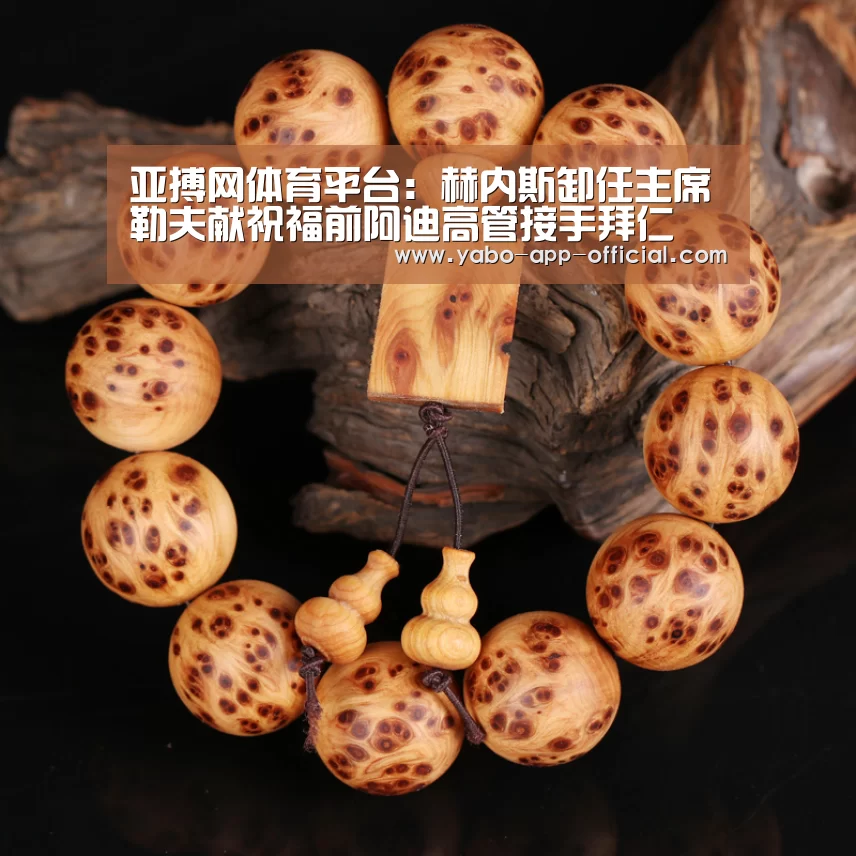 亚搏网app