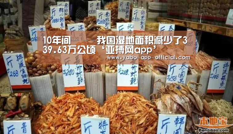 亚搏网体育平台