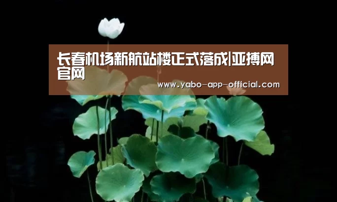 亚搏网官网