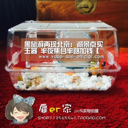 亚搏网app