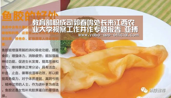 亚搏网app