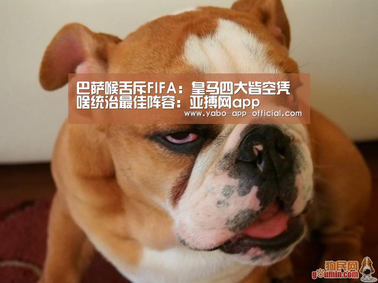 亚搏网体育平台