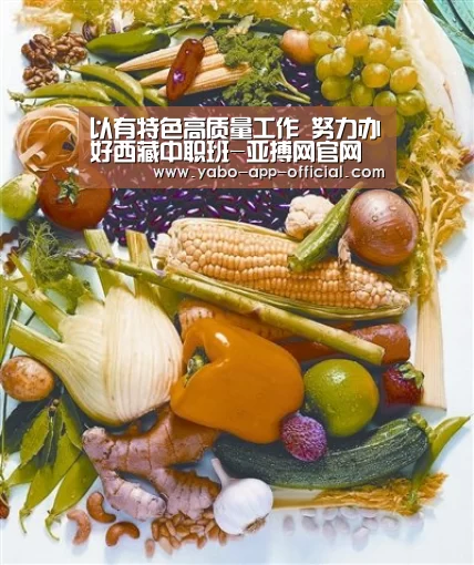 以有特色高质量工作 努力办好西藏中职班-亚搏网官网(图1) 亚搏网体育平台